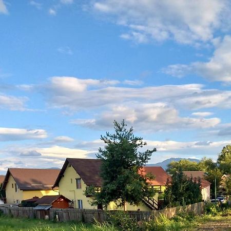 Casa Merilor I & II Braşov Buitenkant foto