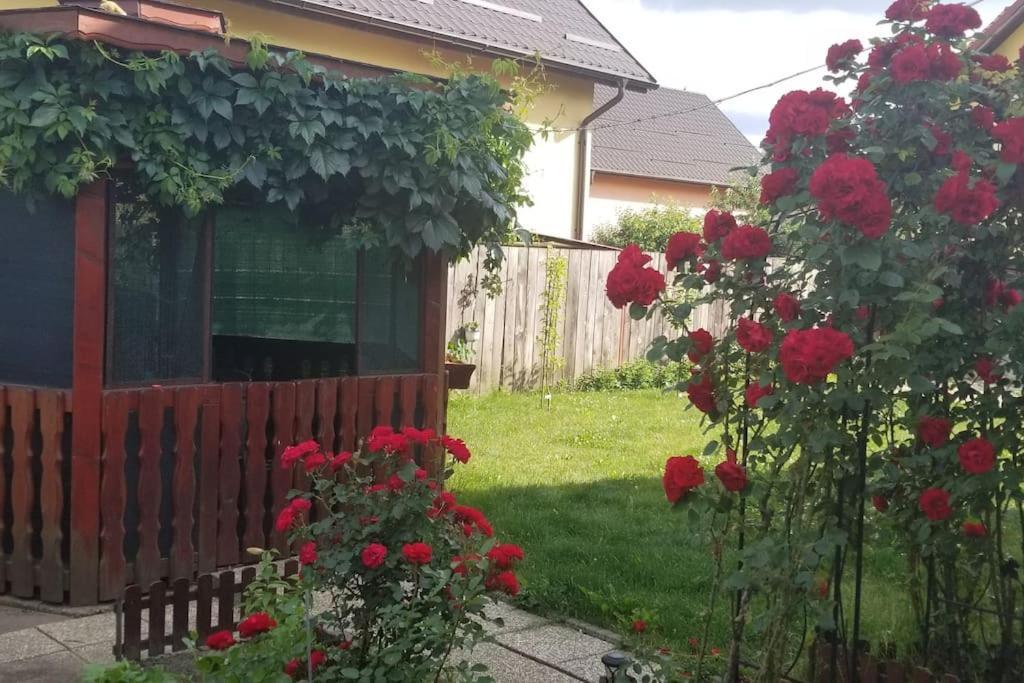 Casa Merilor I & II Braşov Buitenkant foto